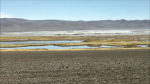 Moais of Tara at Atacama desert in Chile