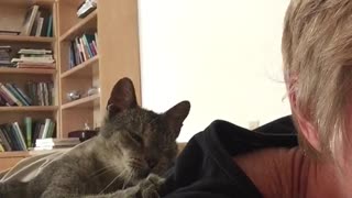 Cat giving owner back massage