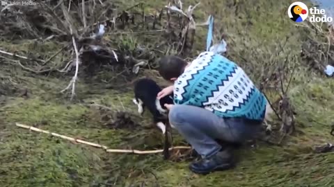 Man Jumps Off Bridge To Save Dog