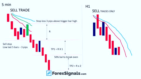 100% SIMPLE AND SCALPING FOREX STRATEGIES!!!