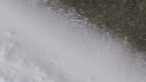 Black dog chasing owner in snow storm blizzard