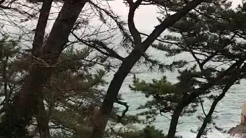 The sound of waves in the morning of Taejongdae in Yeongdo, Busan, Korea