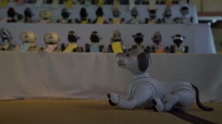 Funeral for robot dog AIBO