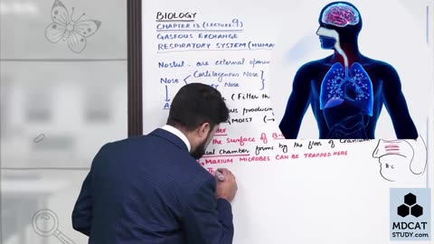 LEC#9 RESPIRATION IN HUMANS (PART-2)