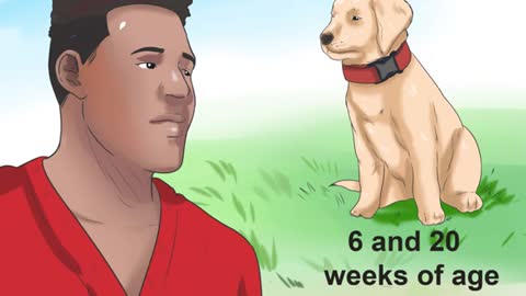 How to tell if you dog has Parvo