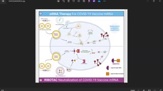 Grave Wisdom Ep67 (siRNA and RIBOTAC assessment) by Dr. Paul Cottrell