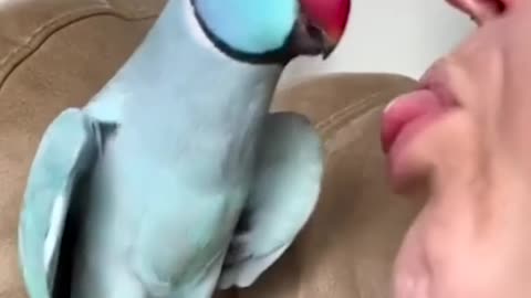 Bird speak are very sweet