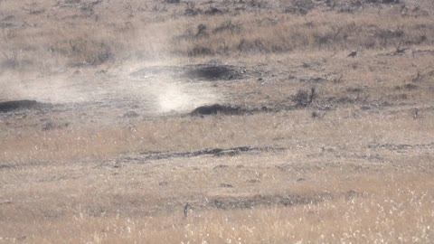 300 Win Mag vs. Prairie Dog SlowMo