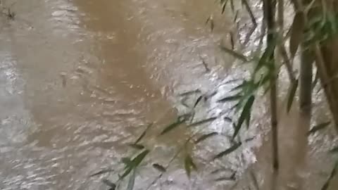 Flood Water