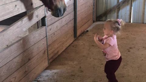 Sweet Baby Cowgirl and Her Horse