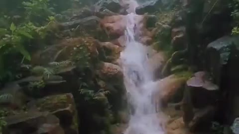 WATCH THE WATER FALL