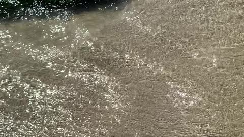 Soothing Running water at the beach in Oregon