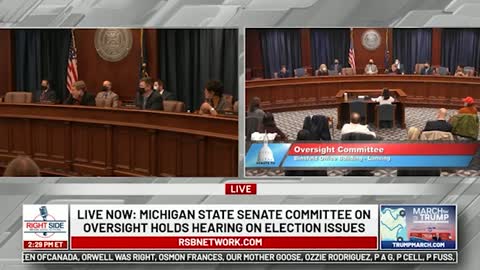Witness #29 testifies at Michigan House Oversight Committee hearing on 2020 Election. Dec. 2, 2020.