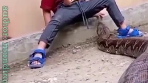 Kids Playing with Dangerous Snake!