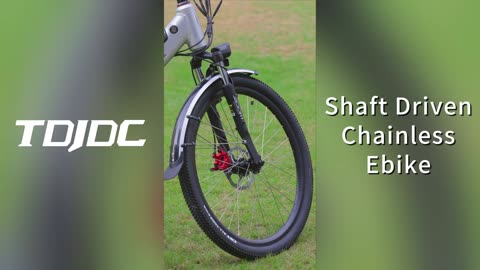 Cardan Driven Electric Bicycle Shaft Drive No Chain eBike