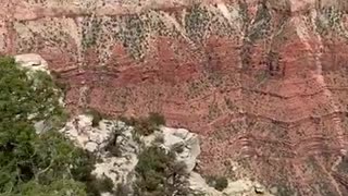 Grand Canyon 2021 Part II