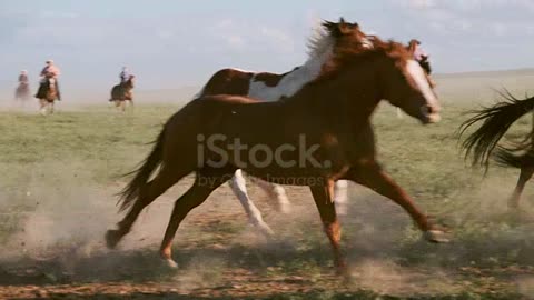 Slow motion horses and cowboys on a ranch in the desert of Utah,USA