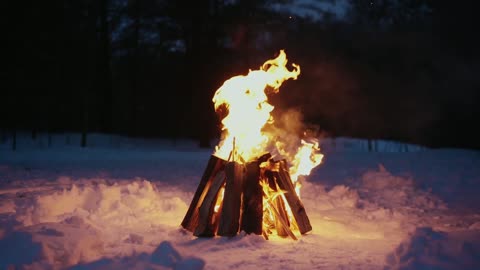 Campfire in the forest in winter. The sound of a burning fire.