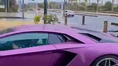 Is this your favorite lamborghini?