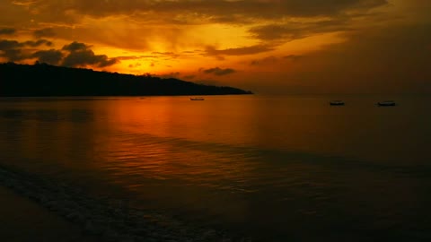 HD Lady Walking on Beach Shore During Sunrise.