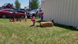 Roping the steer 01