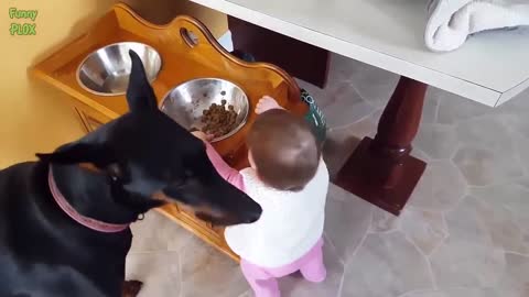 Dogs and little Babies are Best Friends part1