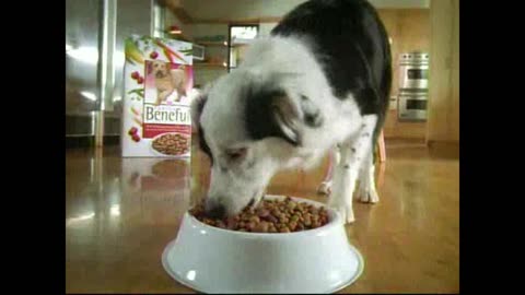 Purina Beneful Commercial
