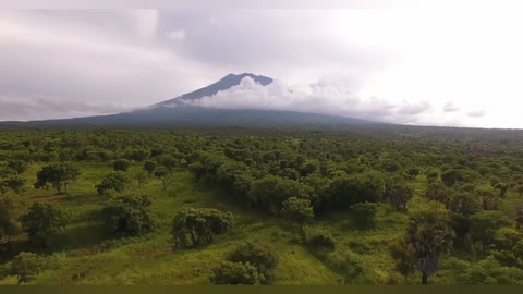 Jungle video with mountain life and relaxing music