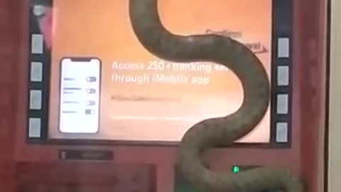 Biggest Snake in India viral video of ATM in India trending