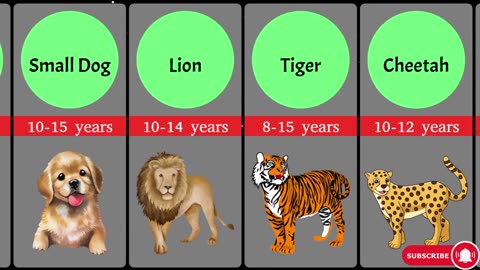 Shortest to Longest Lifespan of Animals, Birds, and Insects | Life Span Comparison