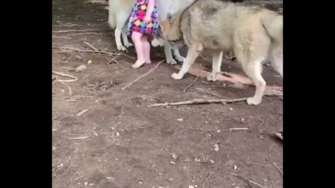 Kids and dogs