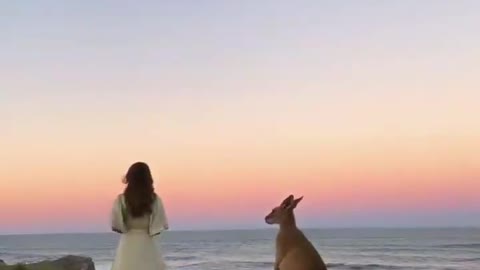 What is a kangaroo doing in front of this girl?