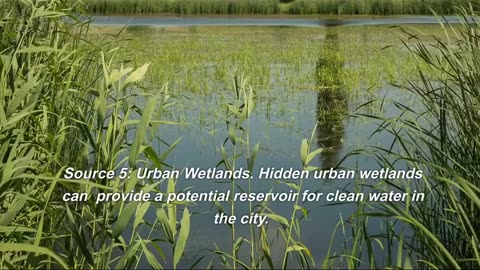 6 Hidden Water Sources In The City
