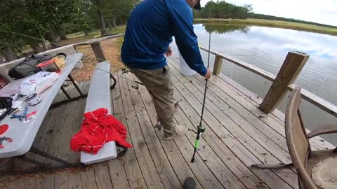 Fishing w/ BLUEGILL for POND MONSTERS