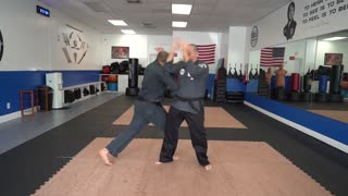 An example of the American Kenpo technique Circling the Horizon