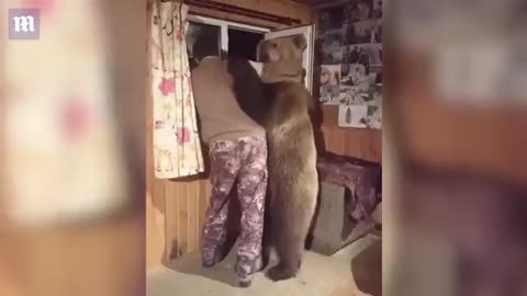 Domesticated bear gives his owner a lovely CUDDLE!