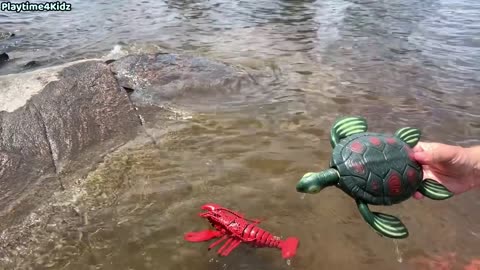 Sea Animal Toys This Summer at the Shore