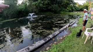 Moyer Lake Bluegill Fishing