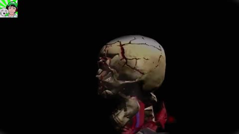 Mortal Kombat X-Ray en la vida real (prueba)
