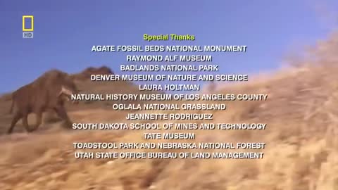 National Geographic Documentary Animals