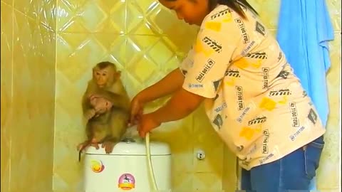 Monkey Kako Hugging.Baby.Nina Walk To Bathed.Together - Monkey Animals 040