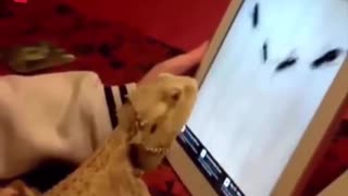 Animals And Technology