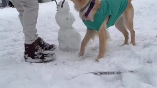 She Decided Frosty Did Not Need an Arm