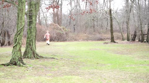 Girl Attracts Deer While Playing Harp in the Woods