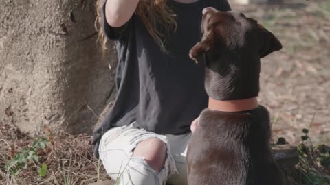 Lady playing with the dog