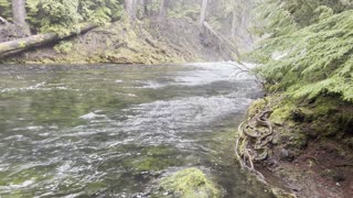 Crystal Clear Mountain Glacier Water – Sahalie Falls & Koosah Falls Loop – 4K