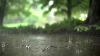 1 Hour Rain & Thunderstorm Sounds _ Relaxing Storm Ambience