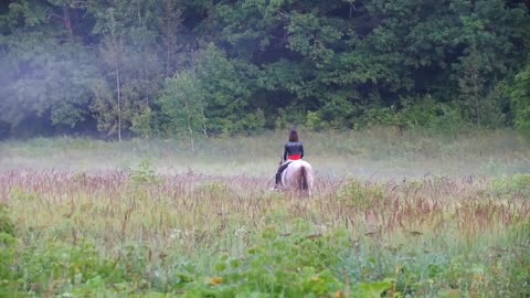 A young rider on a horse goes to the misty forest and looks back