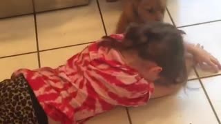 Little girl loves playing with her foster dog