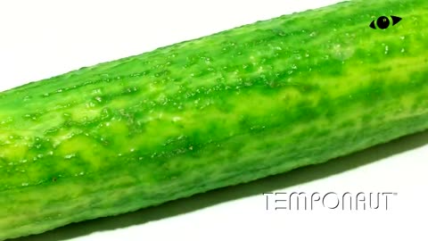 Cucumber Time Lapse 4K